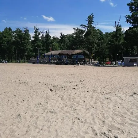 Kliwia * Tolkmicko